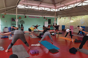 Yin Yoga TTC